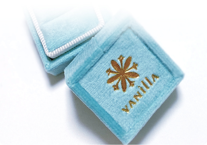 サプライズケース