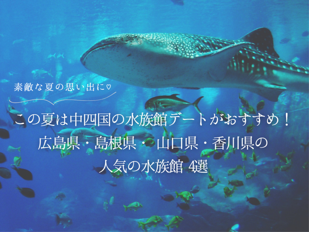 34eeef9ad11d89fd1433c48ee18b40