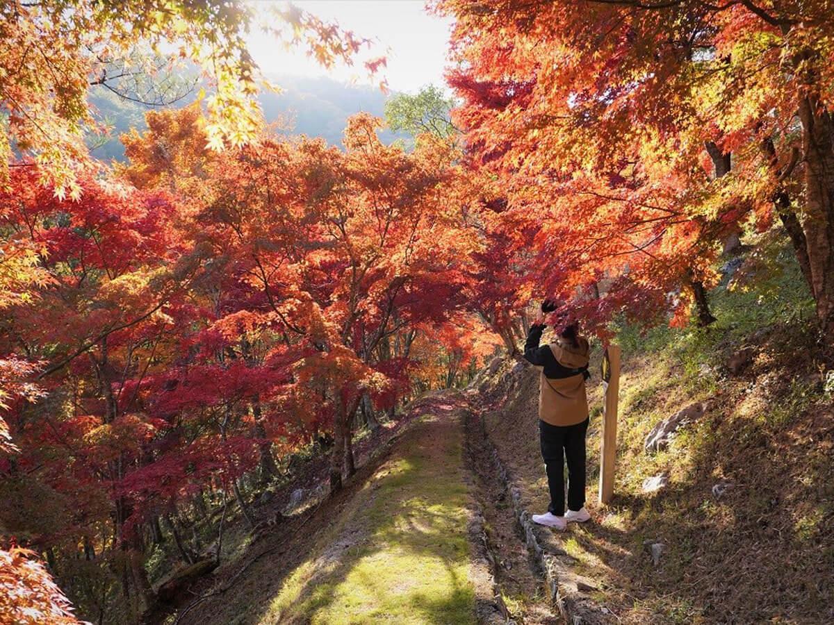 広島県婚約指輪・結婚指輪