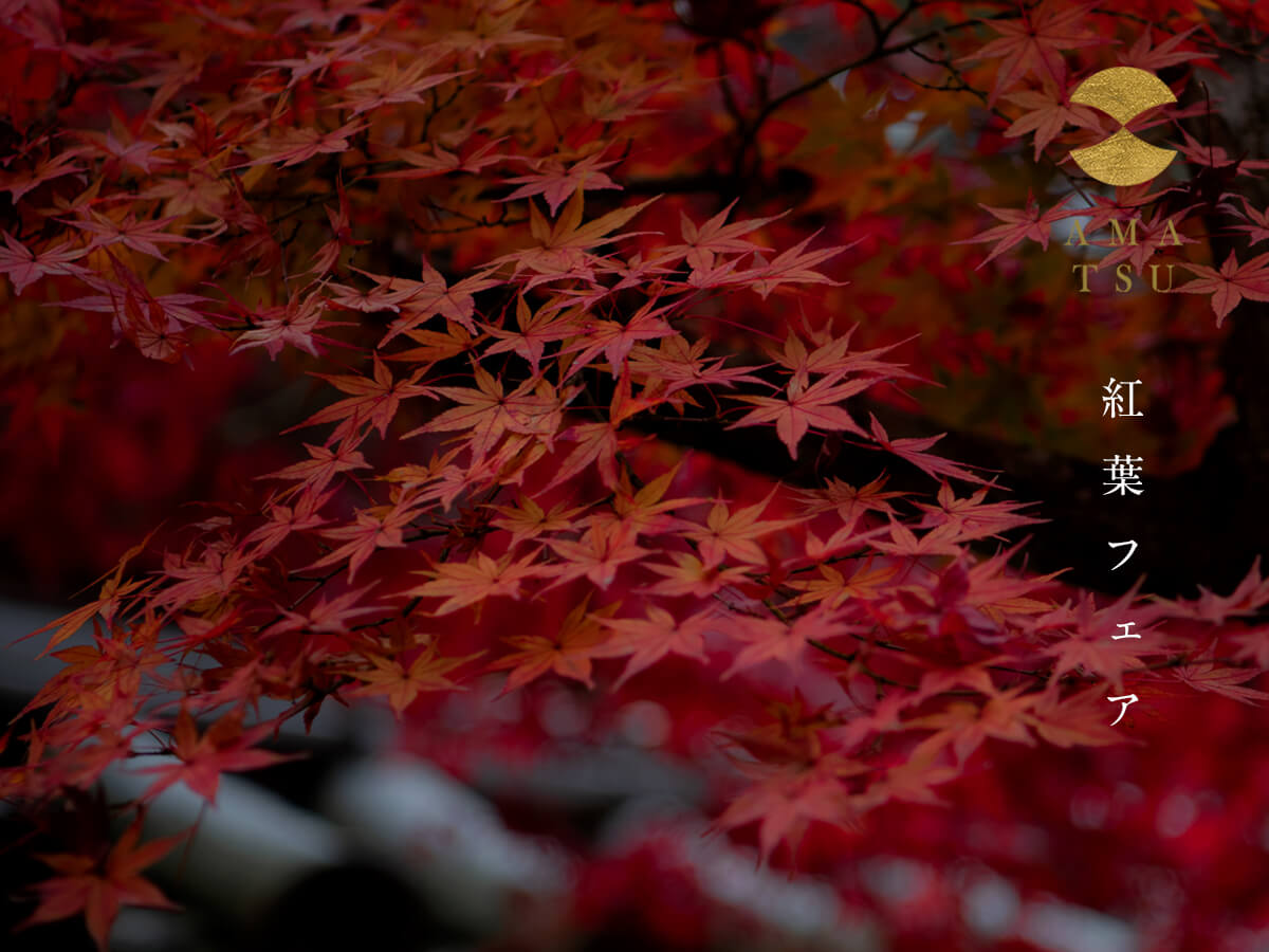 AMATSUアマツの11月のブライダルフェアの紅葉フェア